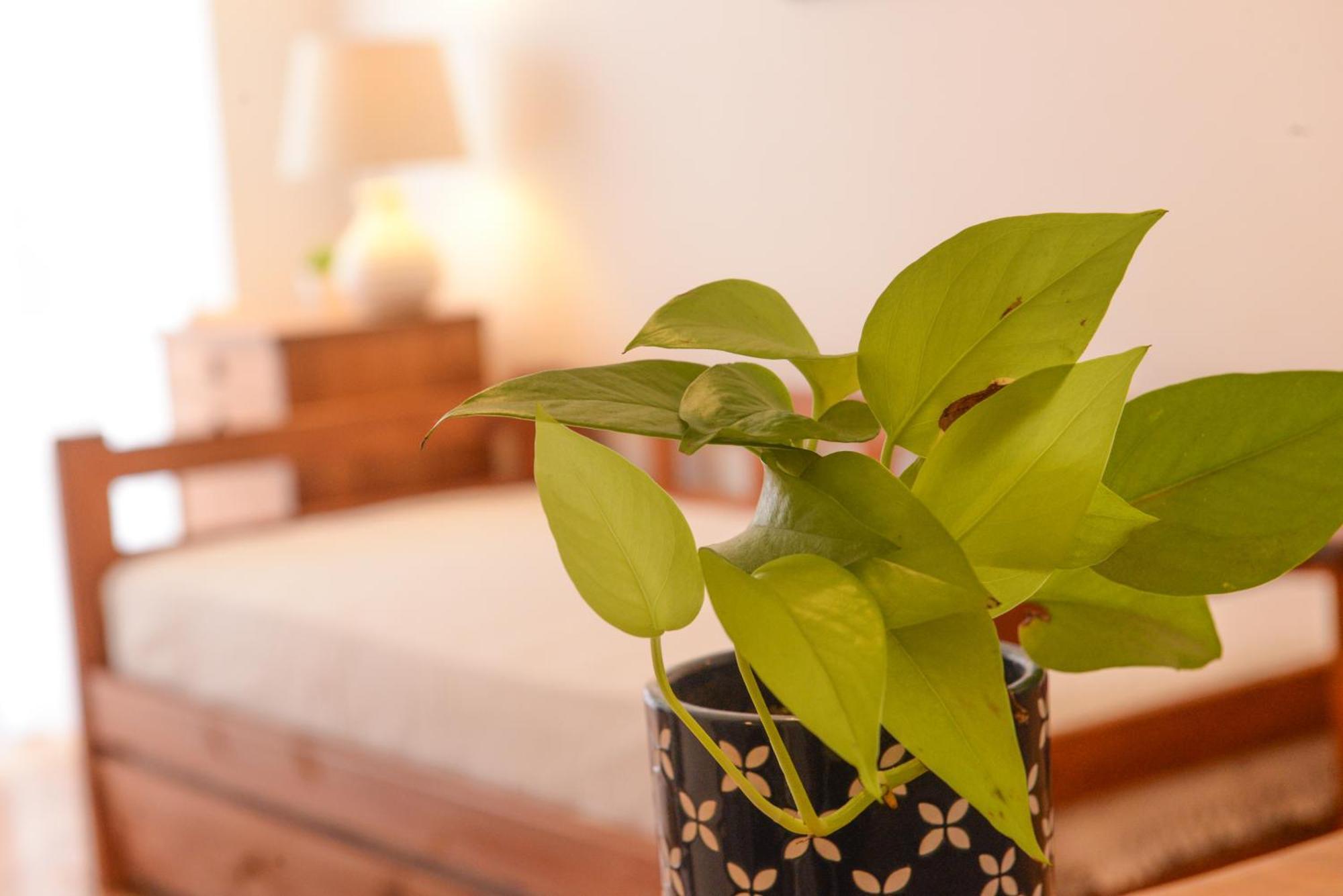 Imperdible En Palermo Botanico La Rural Seguridad 24Hs Apartment Buenos Aires Exterior photo